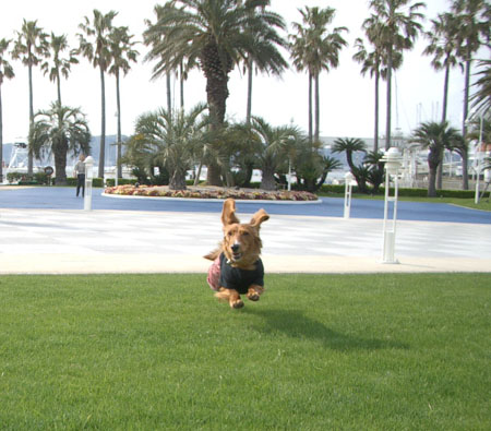 2007春逗子マリーナ4