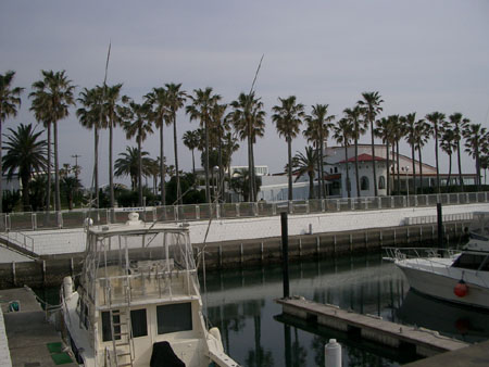 2007春逗子マリーナ5