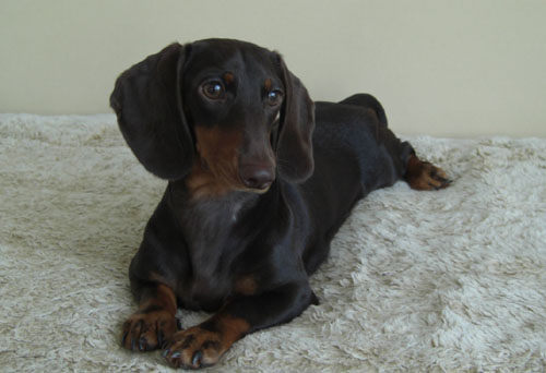 少し大きくなったね