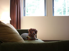 リゾナーレのお部屋（２）