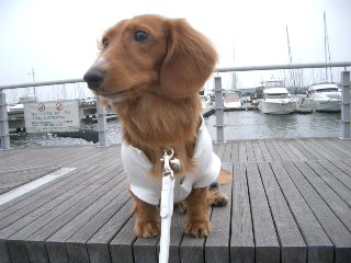 2007.4.1ベイサイドマリーナ