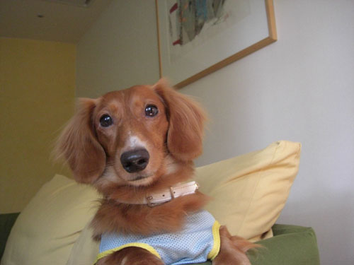 リゾナーレのお部屋（３）