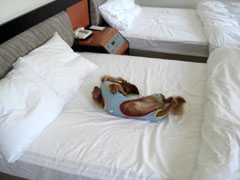 リゾナーレのお部屋（４）