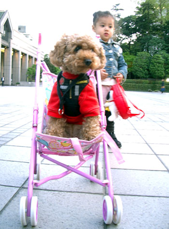 ティップちゃんとベビーカー