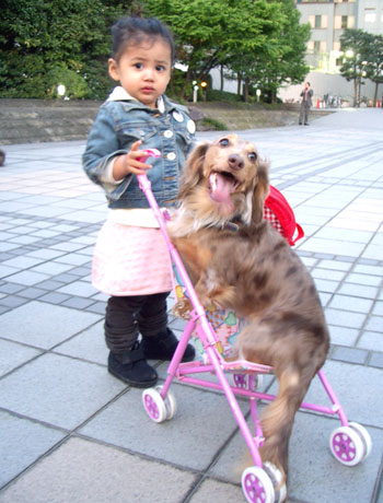 姉妹エマちゃん＆メリちゃん