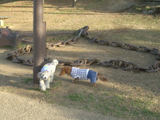 お台場2007.2　ミッキーとモデナ