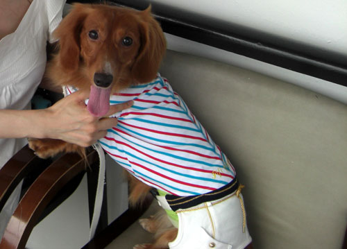 デッキのお椅子