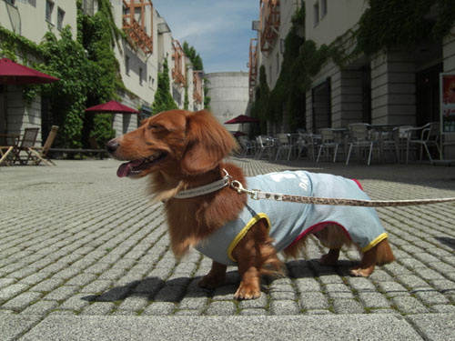 リゾナーレの朝