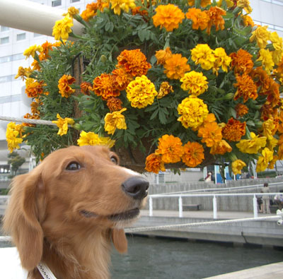 パシフィック横浜にて