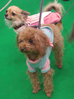 2008初写真ですよ♪