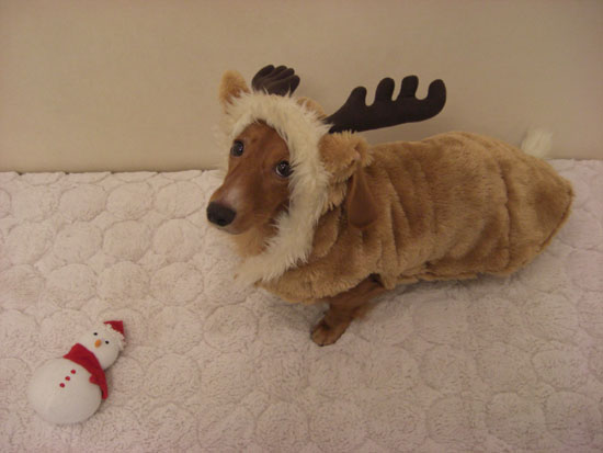 雪だるまサンタ＆トナカイ風