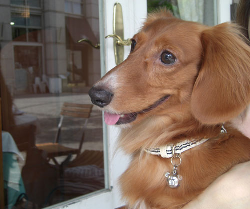 気持ちいいいネ～