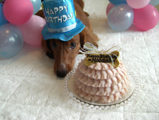 ４歳のお誕生日ケーキだよ