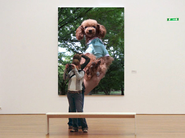 ♪ティーカッププードル♪