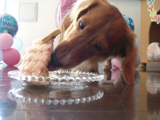ケーキ食べるじょ～