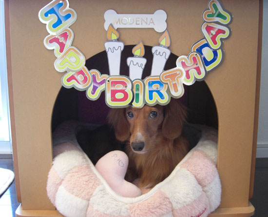 誕生日バージョンハウス