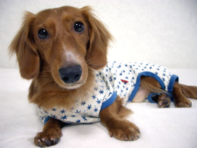 カメラ買った日