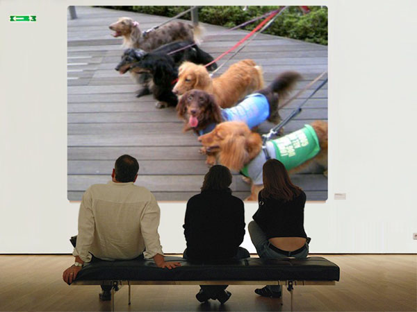 オールダックスター