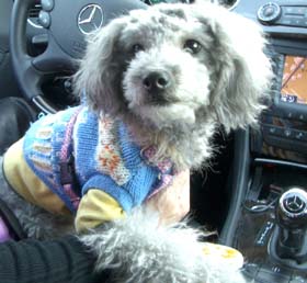 お台場2007.2　ミッキー