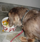 エマちゃんおいしい？