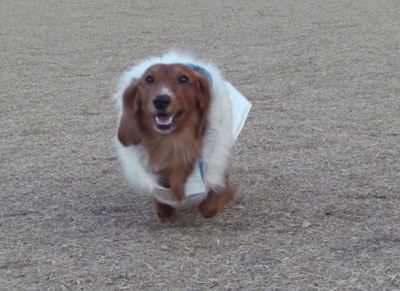 2008年初ミッドタウンお散歩