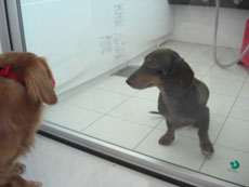 お風呂で「はじめまして」