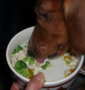 モー君おいしい？