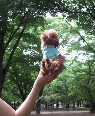 小さいでしょ～♪