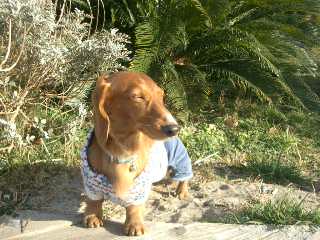 お台場2007.2　no５