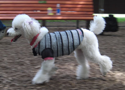 アクティブなの～