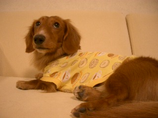 ドーナッツパジャマ