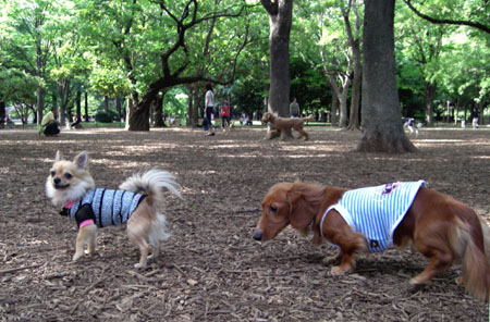 ドコに行くの～？