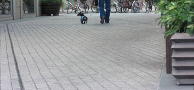 バイバイ、元気でね