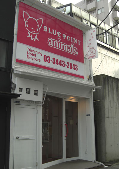 ﾌﾞﾙｰﾎﾟｲﾝﾄｱﾆﾏﾙｽﾞHOTEL