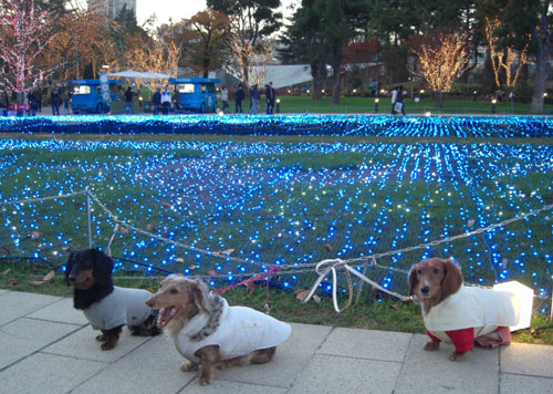 ２００７・１２