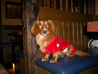 さうだあで目玉