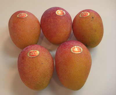 アップルマンゴーさー