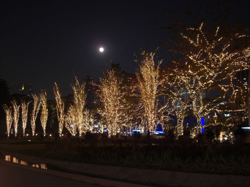 月とイルミネーション