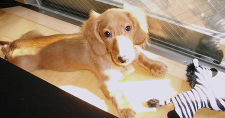 おちびちゃんの日向ぼっこ２