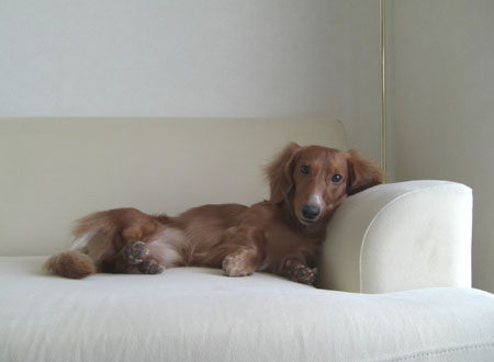 新居でくつろぎ中～！