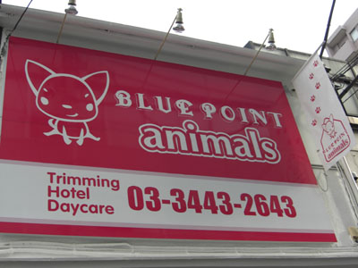 ブルーポイントアニマルズ