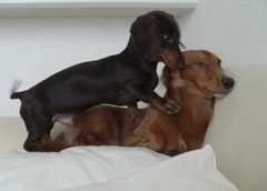 ねぇねぇ遊ぼうよ