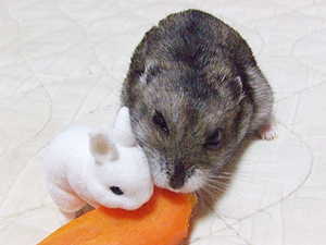 一緒だとおいしいでチュね