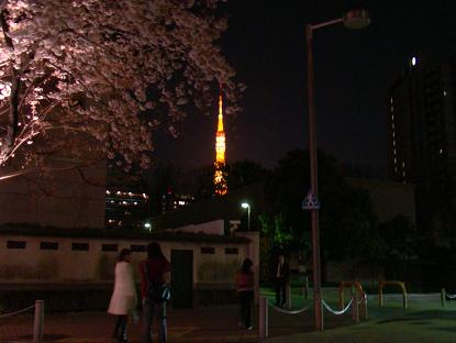 夜桜3.JPG