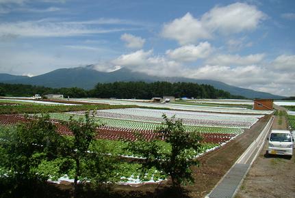 浅間山２.JPG