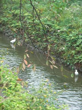 07.10.26瀧の宮神社12.JPG