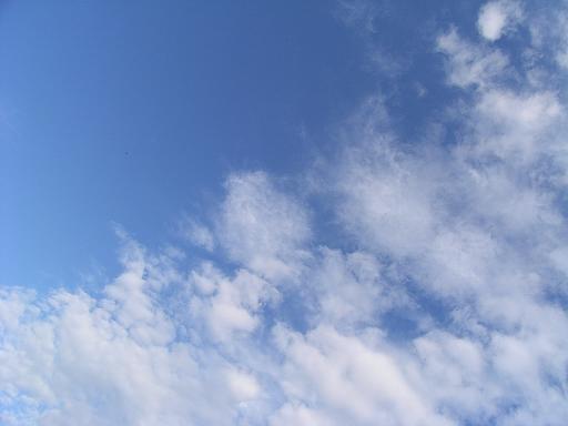 07.7.5 青空.JPG