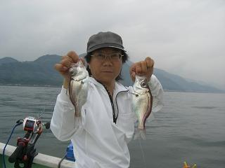 20070704siromutsuRYO