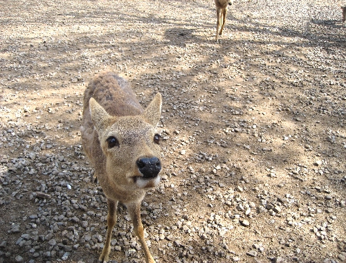 IMG_1297.JPG