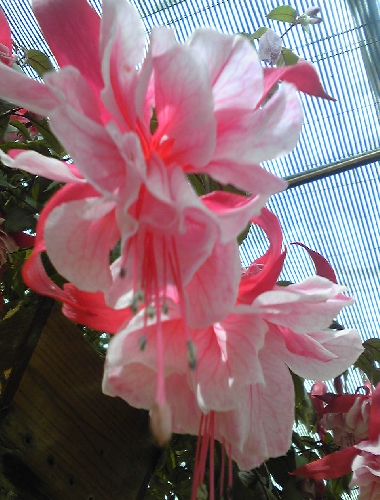 Image027.jpg